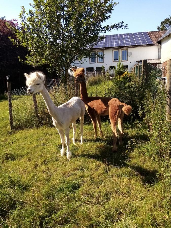 Herzfennerhof Mobilheim Auw bei Prum Exteriör bild